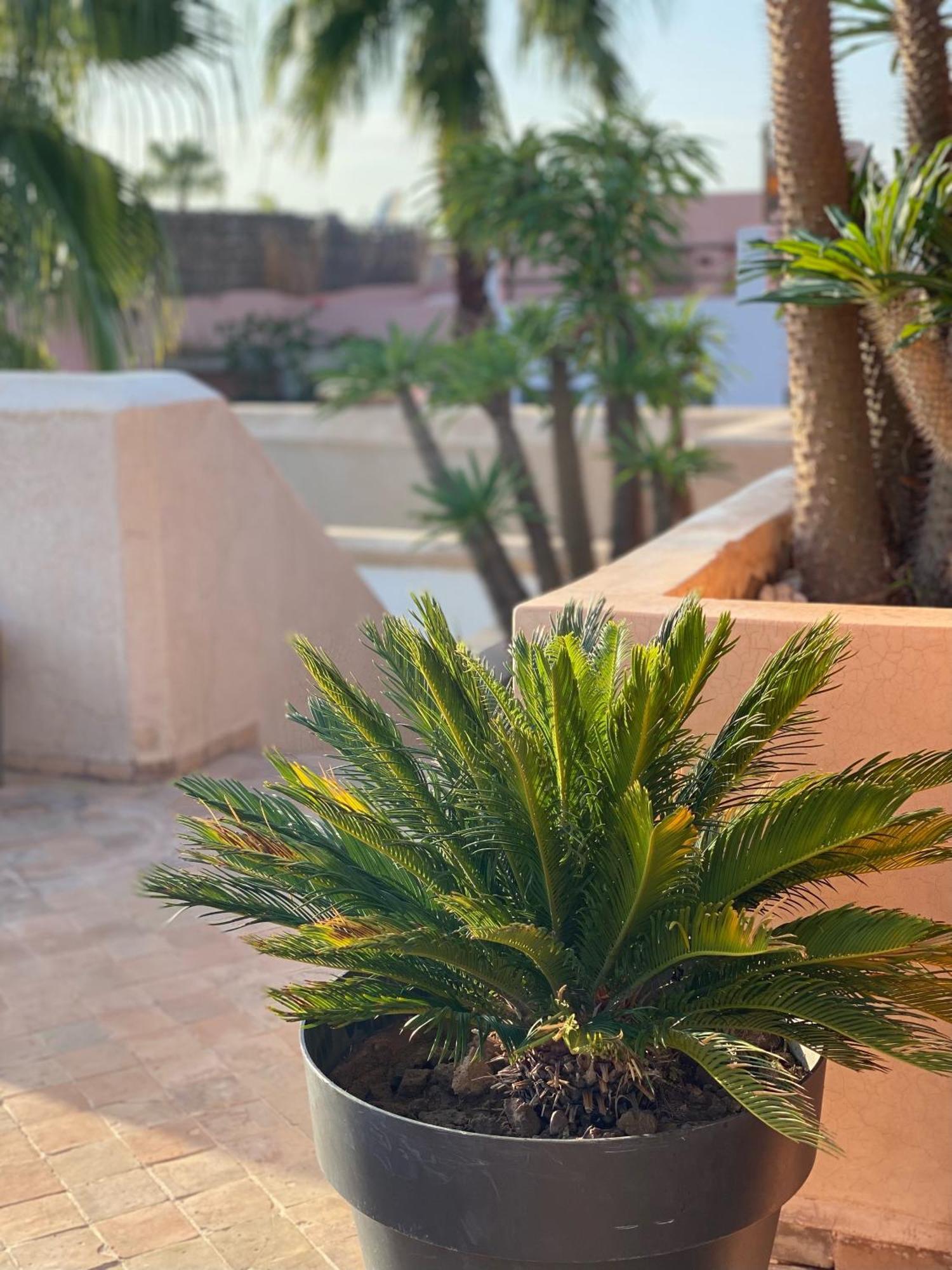 Riad Rossi Marrakesh Exterior photo